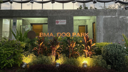 バンコクの無料ドッグラン「BMA DOG PARK」を詳しく紹介！